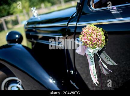 Langenhagen, Germania. 26 Giugno 2020. La decorazione floreale è appesa su un'auto d'epoca in occasione di un matrimonio. Credit: Hauke-Christian Dittrich/dpa/Alamy Live News Foto Stock