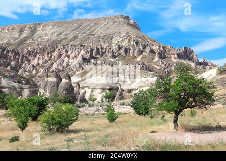 Bellissimo paesaggio con Fata Chimney o funghi di pietra multithead in Valle Pasabag, Cappadocia, Anatolia, Turchia Foto Stock