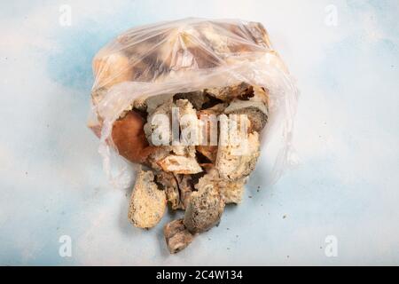 Macrofotografia di muffa verde su un pane raffermo. Superficie di pane ammuffito. Pane guastato con muffa. Fungo ammuffito su pane marcio. Vista dall'alto. Foto Stock