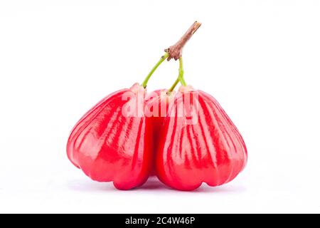 mezzo rosa mela e rosa rossa mele su sfondo bianco sano rosa mela frutta isolato cibo Foto Stock