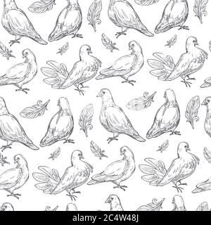Colombe uccelli con piume, piccioni vettore senza cuciture modello Illustrazione Vettoriale