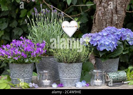 decorazione giardino estivo con lavanda, candela e uccello di cemento Foto  stock - Alamy