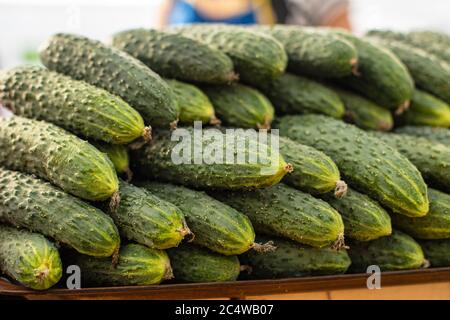 Immagine con un sacco di cetrioli verdi giacciono l'uno sopra l'altro a forma di una piramide nel mercato Foto Stock