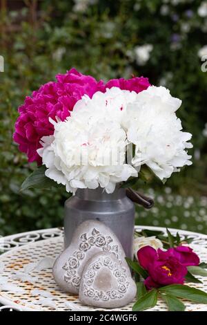 bouquet of peony flowers in white and pink in vintage vase Foto Stock