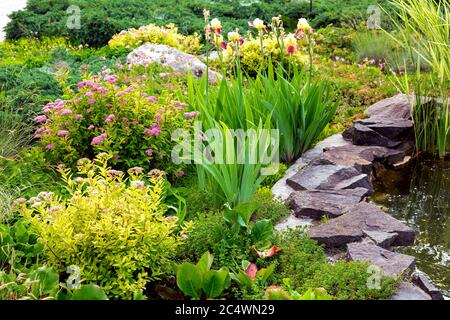 paesaggio con piante e fiori, pietra artificiale lungo il laghetto. Foto Stock