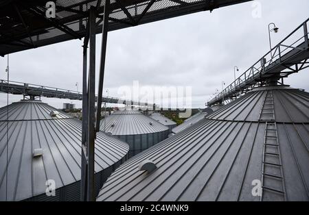 Moderno terminale di grano. Serbatoi di metallo dell'ascensore. Costruzione complessa di grano-che asciuga. Silos commerciali di grano o di seme al porto marittimo. Stoccaggio in acciaio per Foto Stock