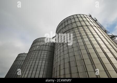 Moderno terminale di grano. Serbatoi di metallo dell'ascensore. Costruzione complessa di grano-che asciuga. Silos commerciali di grano o di seme al porto marittimo. Stoccaggio in acciaio per Foto Stock