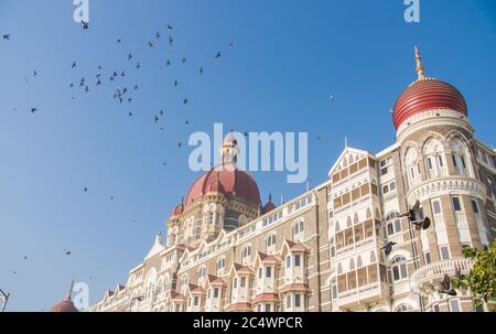 Taj Mahal Palace Hotel a Bombay sullo sfondo dei piccioni. Asia. Foto Stock