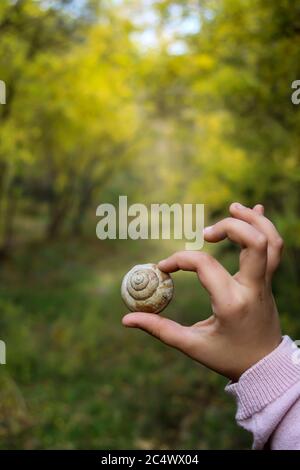 La mano dei bambini tiene una lumaca nella foresta d'autunno Foto Stock