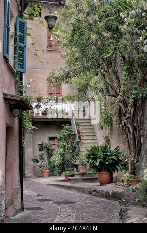 Una strada laterale sul Lago di Garda, decorata con bouganville e vasi di piante con gerani. Foto Stock