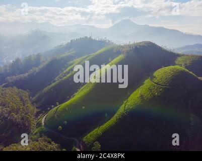 Vista aerea delle piantagioni di tè vicino alla città di Munar. India. Foto Stock