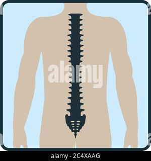 Osso dorsale, icona di concetto radiologico, immagine del corpo umano di origine isolata su illustrazione vettoriale piatta e bianca. Parte scheletrica dell'organismo umano, silhouette Illustrazione Vettoriale