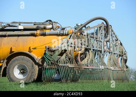 GERMANIA, la diffusione di liquami in campo di grano, liquami da stalle di bestiame aumentano il tenore di nitrati nelle acque sotterranee / DEUTSCHLAND, Schleswig-Holstein, Duengung eines Getreide Feldes mit Gülle, Gülle aus Tierställen belastet Boden und Grundwasser mit Nitrat Foto Stock