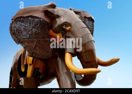 Scultura di elefante africano disegnata da Fernando Gonzalez su sfondo blu, Bioparc, Valencia, Spagna. Foto Stock