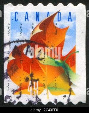 CANADA - CIRCA 2004: Francobollo stampato dal Canada, mostra Maple Leaf e Samara, circa 2004 Foto Stock