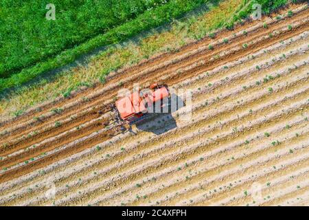 Spiedimento del terreno intorno alle piante vegetali agricole con un trattore e macchinari agricoli, vista dall'alto in diagonale Foto Stock