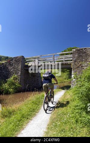 Ciclista sulla strada di accesso, Abergavenny e Brecon Canal, Llangattock vicino Abergavenny, Galles, Regno Unito. Foto Stock