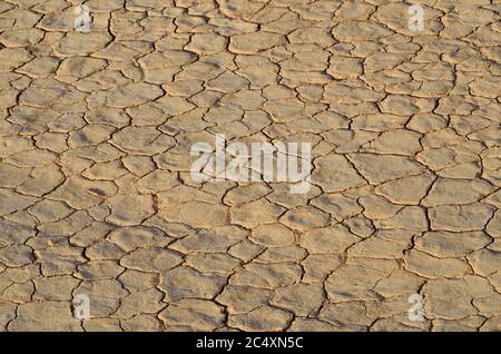 Sfondo di terra incrinato. Terreno asciutto e incrinato nel deserto del Wadi Rum, Giordania Foto Stock