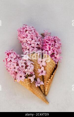 Immagine dall'alto di tre coni gelato con hyacinthus rosa su piano portapaziente grigio chiaro. Foto Stock