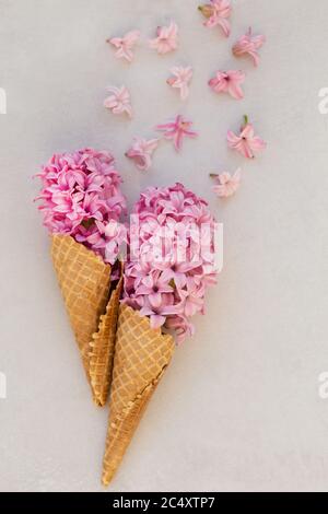 Immagine dall'alto di due coni gelato con hyacinthus rosa su piano portapaziente grigio chiaro. Foto Stock