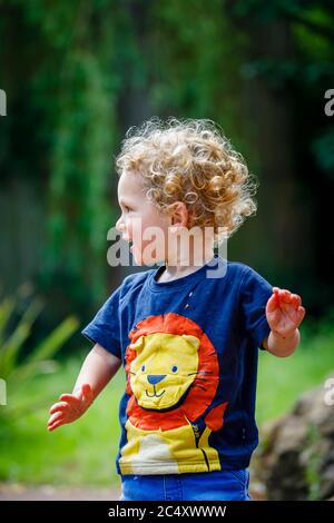 Un bambino piccolo e felice caucasico ragazzo di 18 mesi con capelli ondini e ricci con una t-shirt blu con un motivo colorato leone, guardando lateralmente Foto Stock