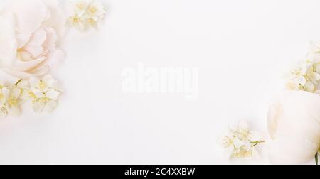 Banner romantica, bianchi delicati fiori di peonie close-up. Fragranti petali di rosa Foto Stock