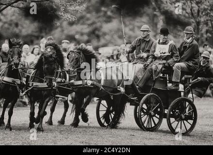 Il principe Filippo, duca di Edimburgo, gareggia alla guida in carrozza. Spettacolo di cavalli Windsor. Berkshire, Inghilterra, Regno Unito circa 1989 Foto Stock