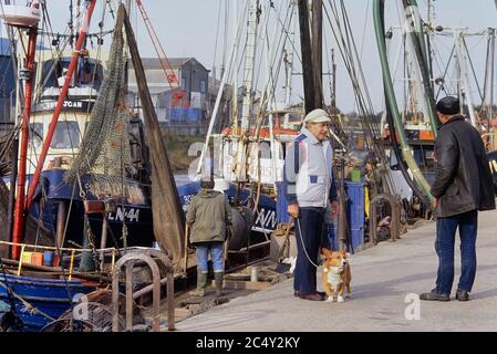 Un uomo che cammina il suo cane lungo la banchina dove barche di gamberi al porto di pesca di King's Lynn. Norfolk. Inghilterra. REGNO UNITO. Europa Foto Stock