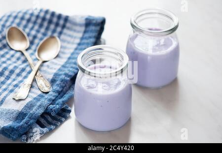 due porzioni di yogurt fresco e mirtillo fatto in casa in un vaso di vetro su un tavolo da cucina Foto Stock