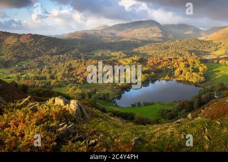 Un lampo di luce illumina il paesaggio di Great Langdale visto dalla cima di Ivy Crag, Loughrigg cadde durante una mutevole mattina d'autunno. Foto Stock