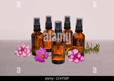 bottiglie riempite con olio essenziale e acqua floreale (idrosolo) dalla distillazione di erbe mediche Foto Stock