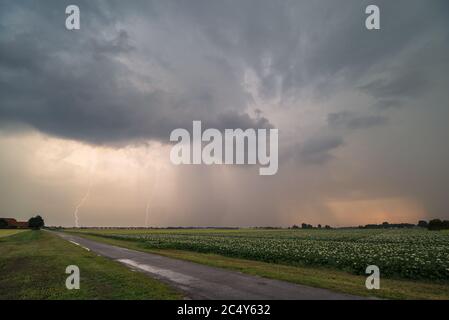 Temporale nella luce della sera dove due fulmini colpiscono la terra Foto Stock