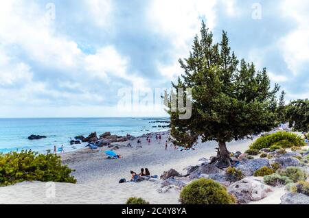 La Canea Creta, Kedrodasos è una spiaggia incredibile a breve distanza dalla famosa laguna di Elafonissi. La spiaggia è piena di alberi di ginepro e. Foto Stock