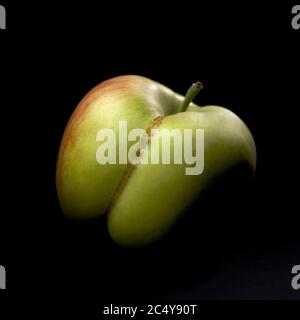 Una mela verde bio isolata su sfondo nero Foto Stock