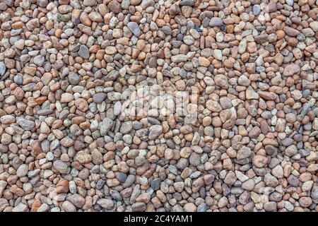 Colorati piccoli Pebboli o pietre sfondo e texture estrema primo piano. Foto Stock