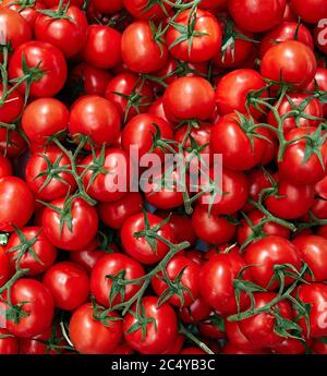 Pomodori belli (pomodori Baku). Prodotti nel mercato orientale. bazaar Foto Stock