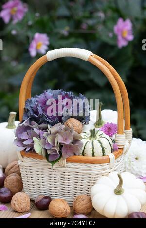 zucche, cavolo ornamentale e fiori di idrangea in cesto Foto Stock