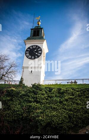 Torre dell'orologio nella fortezza di Petrovaradin, Novi Sad, Serbia Foto Stock