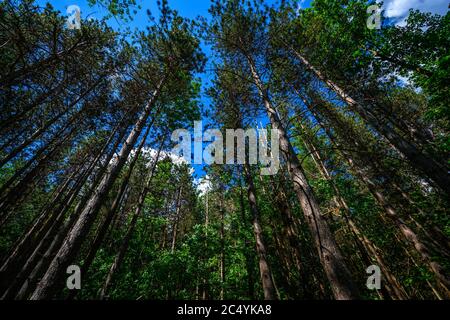 Cascate di Kaaterskill a Catskills Mountains, NY, Stati Uniti Foto Stock