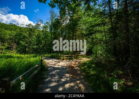 Cascate di Kaaterskill a Catskills Mountains, NY, Stati Uniti Foto Stock