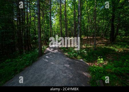 Cascate di Kaaterskill a Catskills Mountains, NY, Stati Uniti Foto Stock