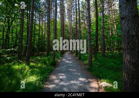 Cascate di Kaaterskill a Catskills Mountains, NY, Stati Uniti Foto Stock