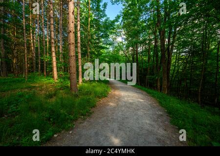 Cascate di Kaaterskill a Catskills Mountains, NY, Stati Uniti Foto Stock