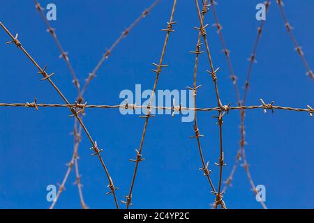 Recinzione di filo spinato avvolta contro uno sfondo blu Foto Stock