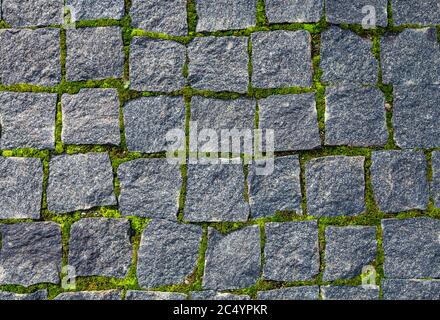 Texture di pavimentazione pedonale in ciottoli con muschio nella vecchia città europea Foto Stock