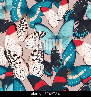 Farfalle colorate senza giunture Illustrazione Vettoriale
