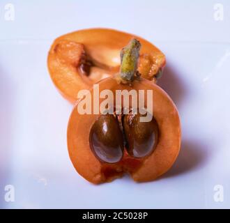 Medlar, diviso in due metà, arancione, bianco, naturale, ecologico, Macro fotografia Foto Stock