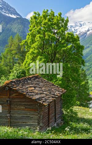 Svizzera, Cantone Vallese, Val d'Herens, la Sage, antico edificio in legno del villaggio Foto Stock