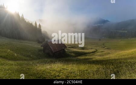 Panorama di mattina foggy in montagna - prato e capanna vicino al Lago Gerold Foto Stock