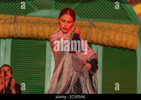 Ballerini e musicisti che suonano il Flamenco, una forma di musica folk spagnola e danza, durante uno spettacolo di cena a Siviglia, Andalusia, Spagna. Foto Stock